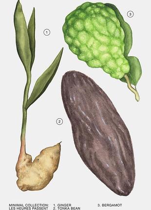 Zara les heures passent парфумована вода, 15 мл (розпив)