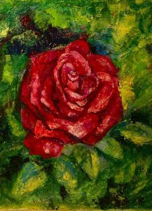 "красная роза". картина маслом.