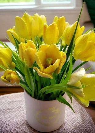 Жовті тюльпани3 фото