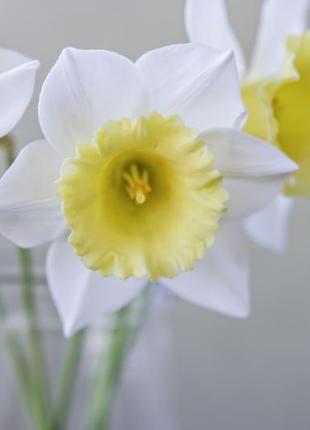Нарцисс из холодного фарфора4 фото