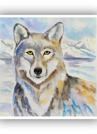 Акварельная картина волк. акварель 30х30 см.2 фото