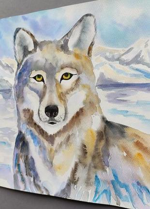Акварельная картина волк. акварель 30х30 см.5 фото