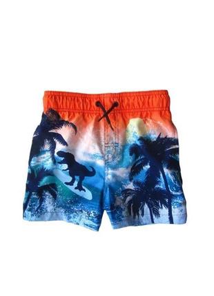 Короткие шорты для плавания плавки дино dino nutmeg