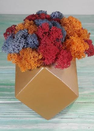 Декор для дома