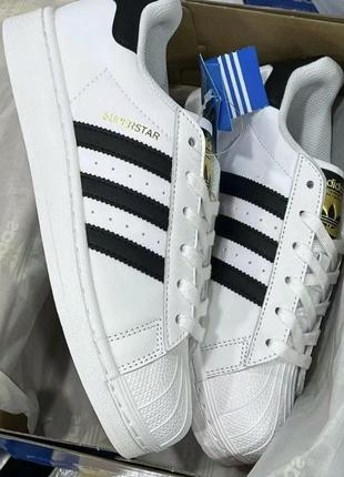 Adidas superstar1 фото