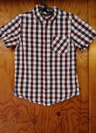 Рубашка летняя в клетку matalan 7/122