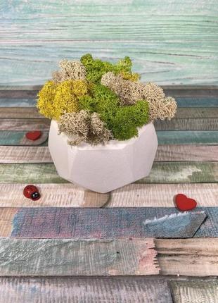 Декор для дома.