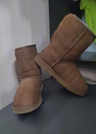 Уги ugg australia