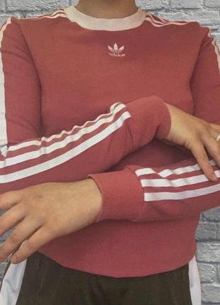 Кофта лонгслів adidas спортивна