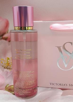 Парфюмированный мист для тела и волос velvet petals sol victoria’s secret.2 фото