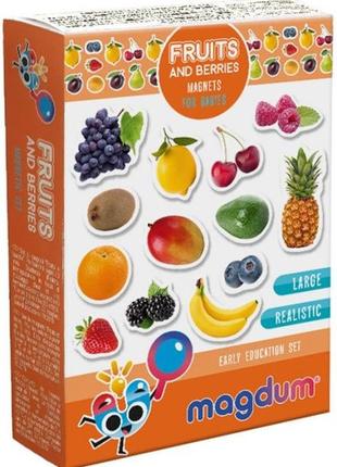 Набір магнітів magdum "фрукти та ягоди" ml4031-11 en