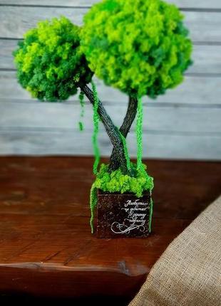Дерево зі стабілізованим мохом, топіарій з мохом10 фото