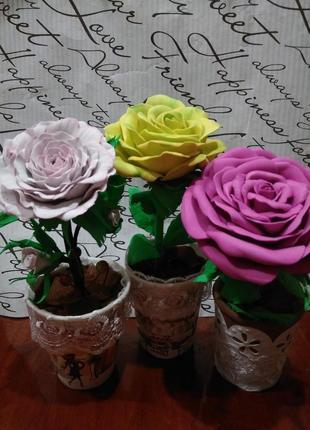 Топіарі троянда1 фото