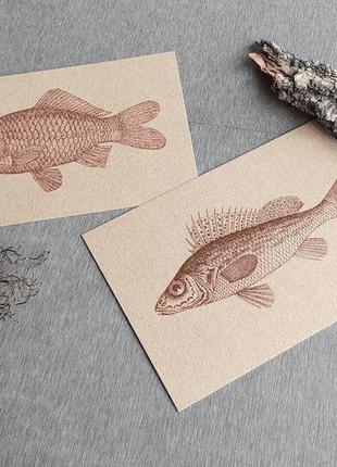 Набор открыток "рыба" крафтовая бумага2 фото