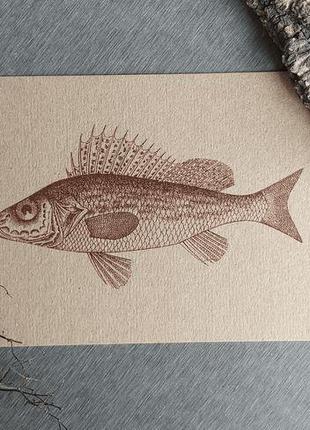 Набор открыток "рыба" крафтовая бумага4 фото