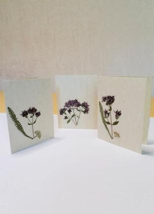 Листівки ручної роботи (аплікації з сухих квітів)6 фото