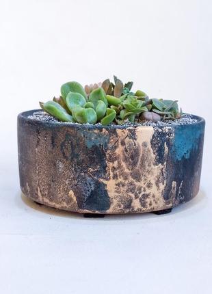 Флорариум в бетоне2 фото