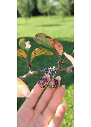 Сережки з справжніми квітами всередині. сережки з епоксидної смоли з рослинами всередині2 фото