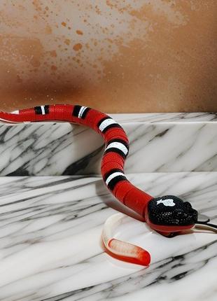 Забавная игрушка: змея на управлении размером 38,5 см tt80043 фото