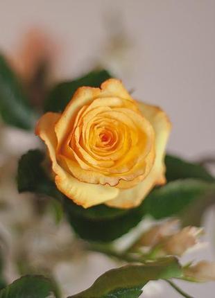 Розы  из холодного фарфора