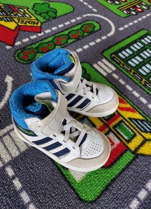 Хайтопт,кроссовки adidas