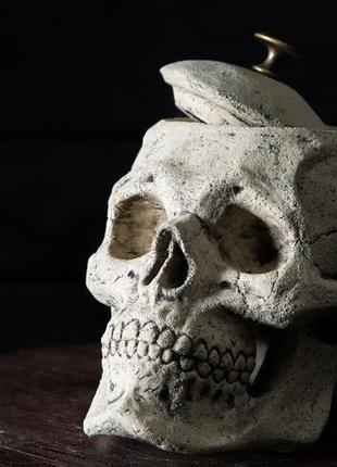 Керамический череп - шкатулка2 фото