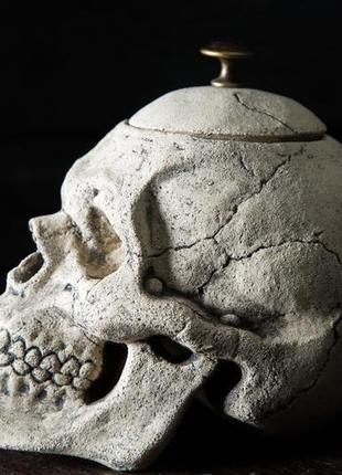 Керамический череп - шкатулка4 фото