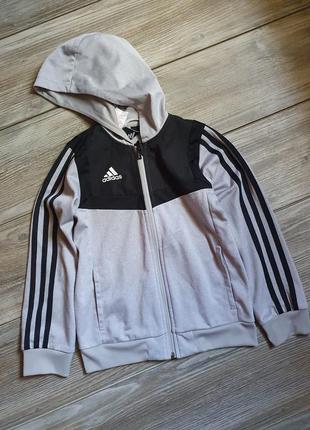 Мастерка реглан adidas оригинал ej9388 7-8л1 фото