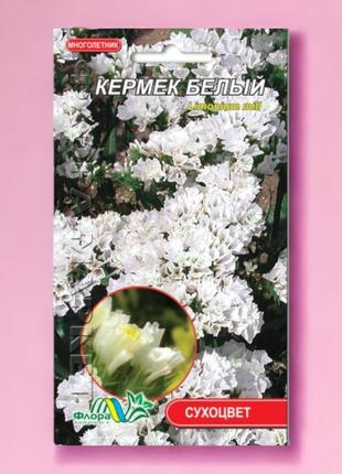 Кермек белый, сухоцвет-многолетник, семена цветы 0.05 г