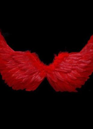 Крила ангела з пірʼя червоні, маленькі1 фото