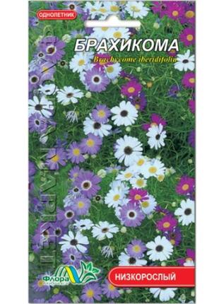 Насіння брахікома різні кольори однорічник низькорослий 0.05 г1 фото