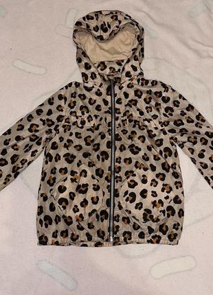 Курточка куртка вітровка леопард плащ тренч дощовик для дівчинки hm h&m