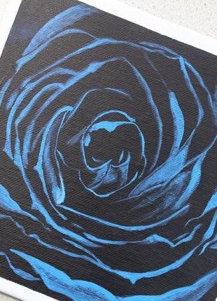 Голубая роза на черном2 фото
