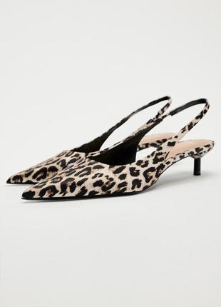 Стильні туфлі з леопардовим принтом кіттен хіл zara зара
