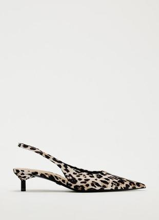 Стильні туфлі з леопардовим принтом кіттен хіл zara зара2 фото