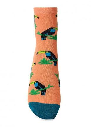 Яскраві жіночі шкарпетки з принтом тукани2 фото