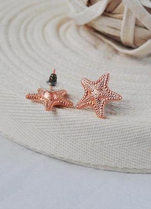 Серьги-гвоздики с омедненными настоящими морскими звездами4 фото