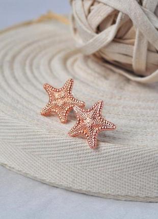 Серьги-гвоздики с омедненными настоящими морскими звездами1 фото