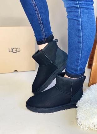 Ugg mini женские зимние сапоги угг черные с мехом