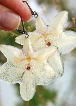 Сережки орхідеї2 фото