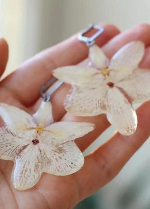 Сережки орхідеї4 фото