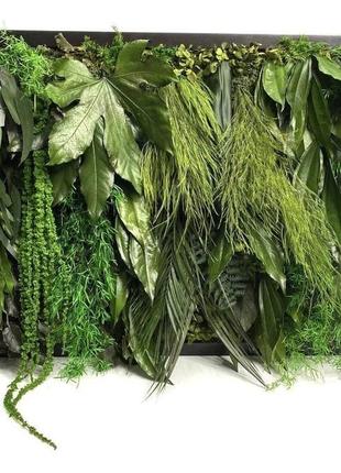 Картина зі стабілізованими рослинами etoile flora (25.09)
