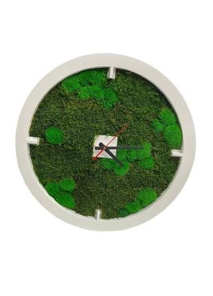 Годинник з темно-зеленим стабілізованою мохом etoile flora (l-0692с)