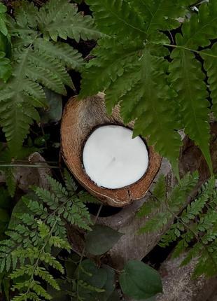 Свічки в кокосі.