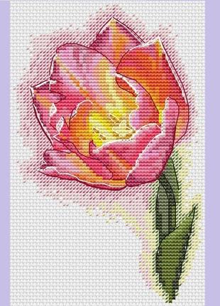 Схема для вишивки "яскравий тюльпан"1 фото