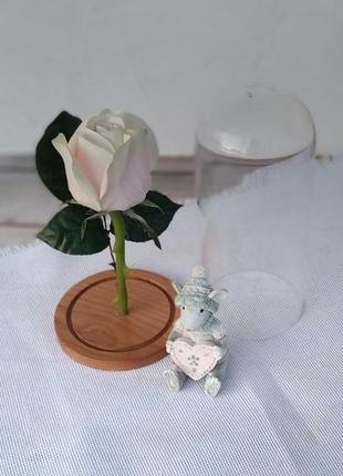 Роза в скляній колбі3 фото