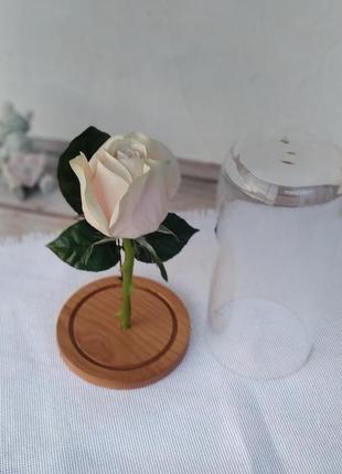 Роза в стеклянной колбе2 фото