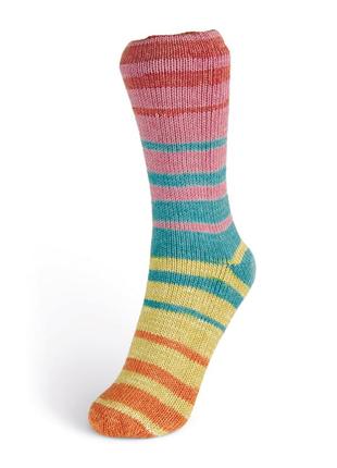 Laines du nord summer sock, 100