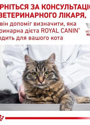 Сухий корм для дорослих кішок royal canin gastro intestinal cat 0.4 кг8 фото