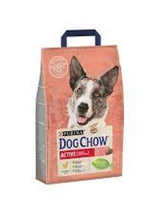 Сухий корм для дорослих активних собак purina dog chow active adult зі смаком курки 2.5 кг.